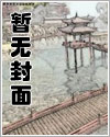 帝国将军回忆录 小说